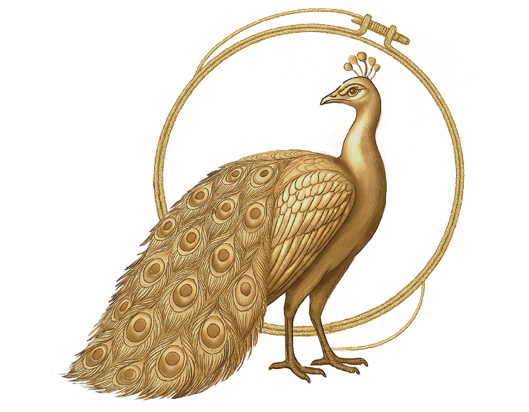 sarrohi.owlwebsportfolio.com